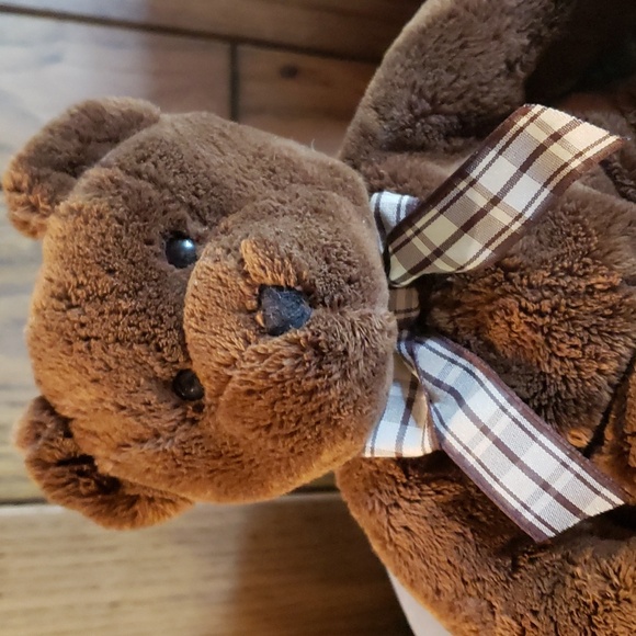 TY CLASSIC "Molasses the Bear" Plush teddy Bear - EVC - Picture 2 of 8